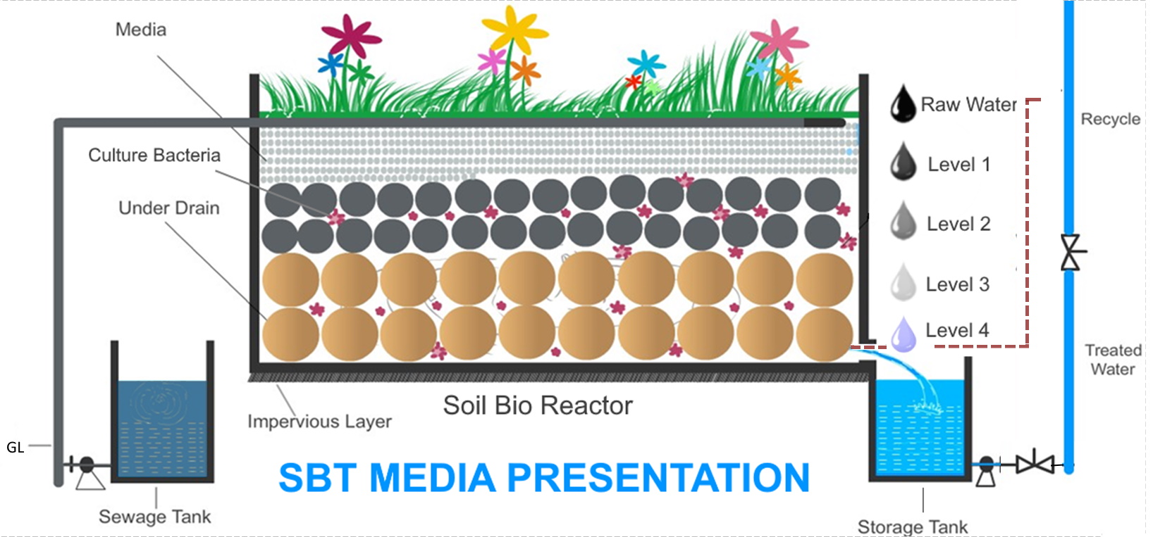 soil biotechnology